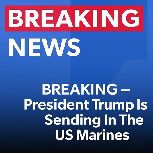 U.S. Marines Assigned to Support Immigration Operations in Florida: A Policy Move Sparking National Debate